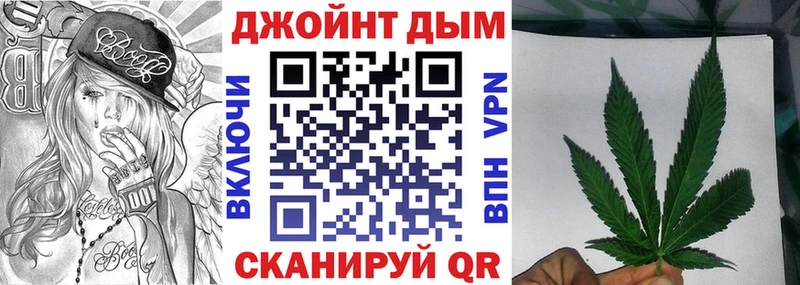 Канабис сатива  Циолковский 
